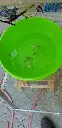 20200710_121706.webp