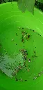 20200817_092122.webp