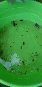 20200816_190220.webp