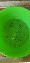 20210725_105310.webp