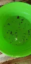 20210724_084711.webp