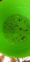 20210721_105522.webp