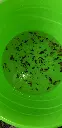 20210718_150148.webp