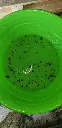 20210717_081144.webp
