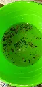 20210806_120518.webp