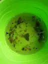 20220610_113633.webp