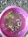 20230709_173426.webp