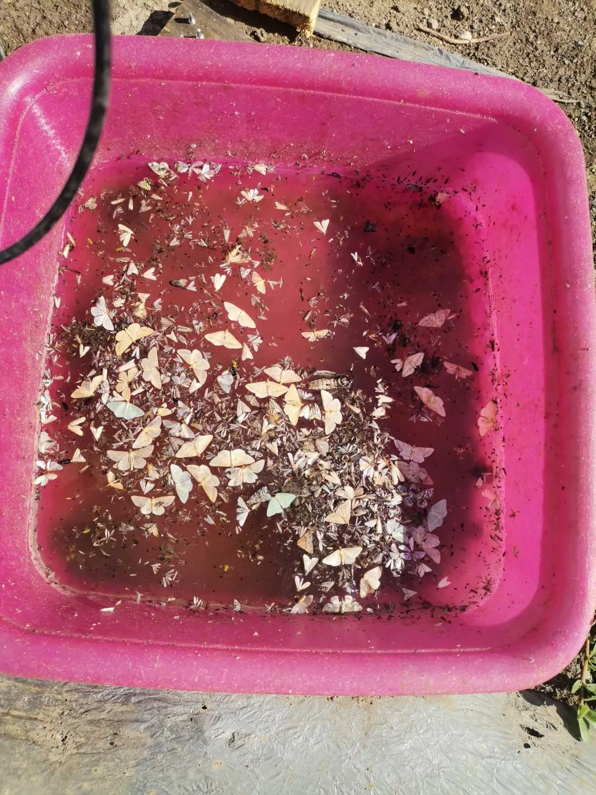 NOT TUTA_2024-07-12_09-40-41-619.webp